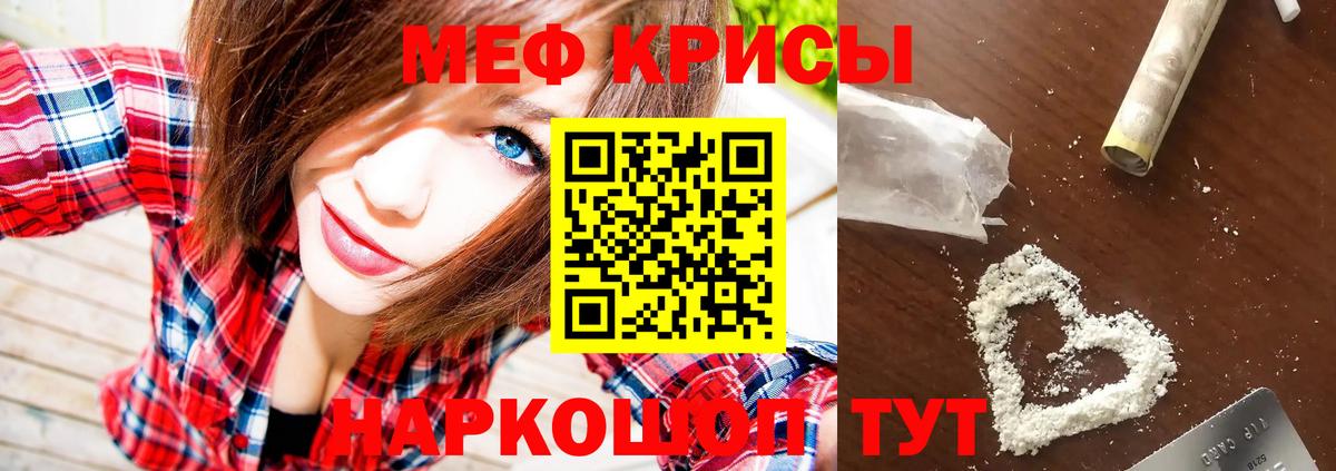 МЕФ  Вольск