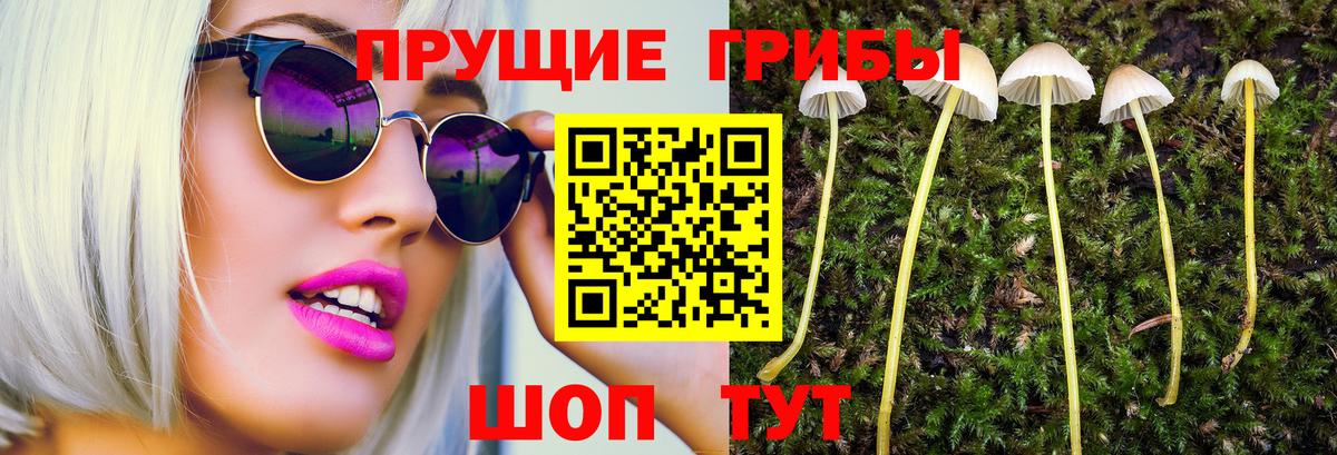 Галлюциногенные грибы мухоморы  Галлюциногенные грибы Magic Shrooms  Вход с VPN  Вольск 