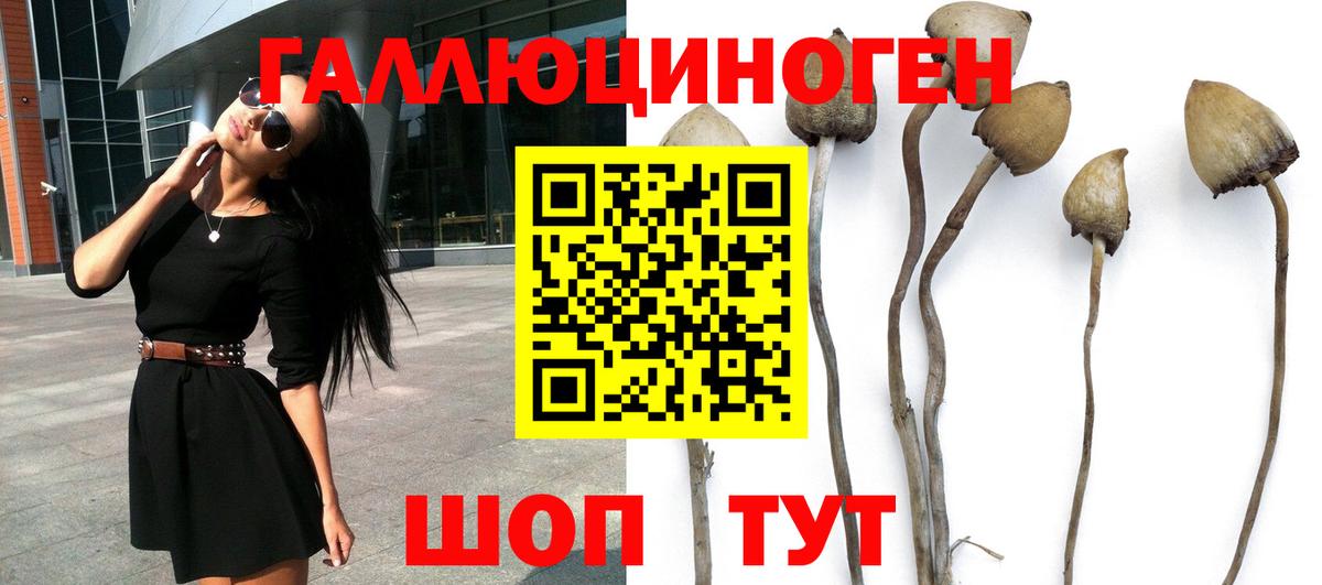 Галлюциногенные грибы Magic Shrooms Вольск